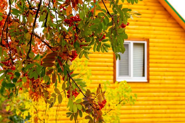 Cost of Garden Window Replacement in Barrington